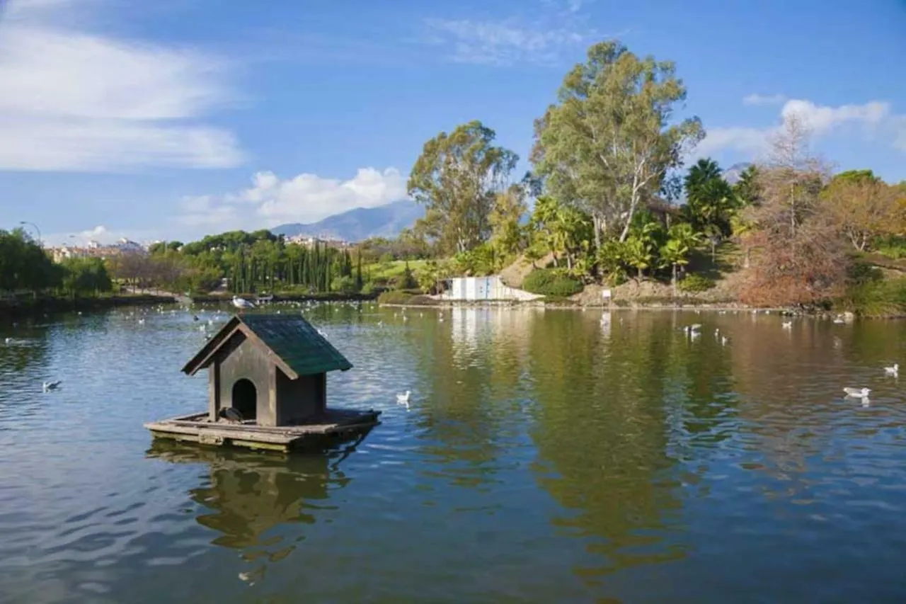 797 Holiday Rentals - Amplio Piso Para 4 En El Centro De Arroyo De La Miel 贝纳尔马德纳